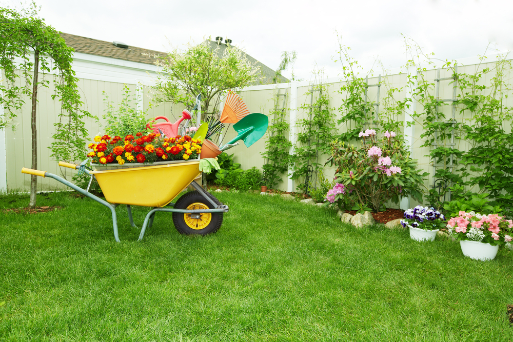 Comment aménager son jardin pour attirer les papillons