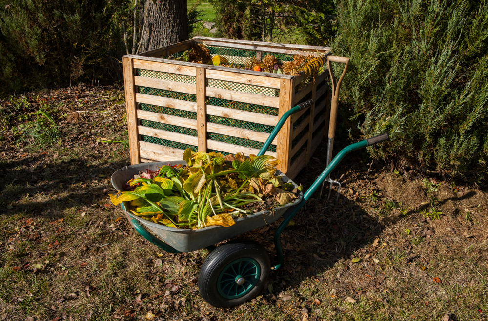 débroussailler jardin