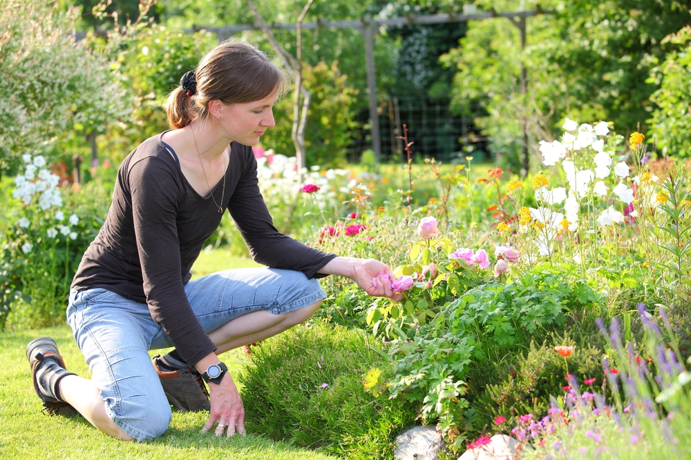 décoration jardin