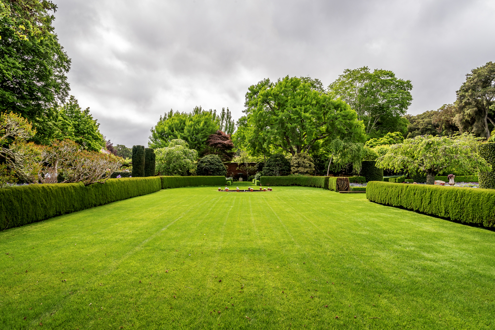 extérieur jardin