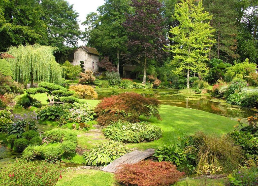 Réussir son jardin en été comme en hiver